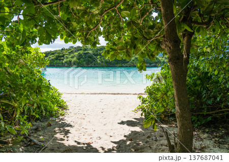夏の沖縄県石垣島に広がる美しい風景 137687041