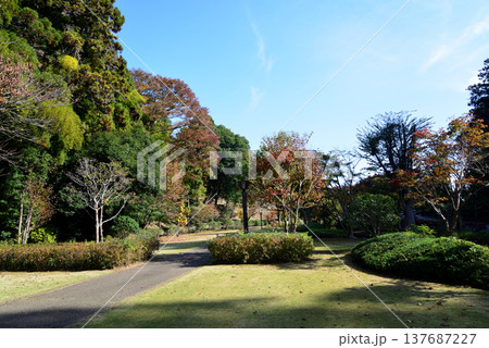 偕楽園もみじ谷の紅葉 2025-11-8 #41 偕楽園もみじ谷の紅葉 2025-11-8 #41 137687227