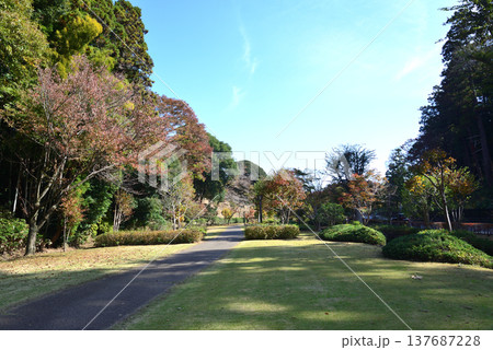 偕楽園もみじ谷の紅葉　2025-11-8　＃42 137687228