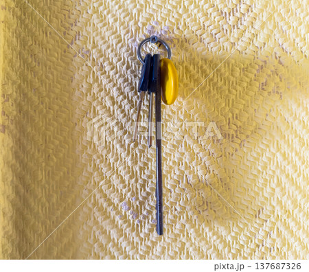 Keyring with multiple keys and a yellow key fob hanging against a textured yellow background Keyring with multiple keys and a yellow key fob hanging against a textured yellow background 137687326