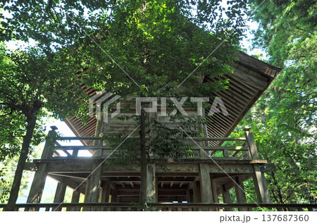 出雲　須佐神社 137687360