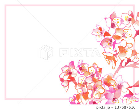 桜の花フレームイラスト|春 桜 花 背景 メッセージカード 水彩風 桜の花フレームイラスト|春 桜 花 背景 メッセージカード 水彩風 137687610