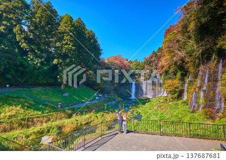 秋の静岡県富士宮市の白糸の滝と滝見橋付近の展望台と観光客 秋の静岡県富士宮市の白糸の滝と滝見橋付近の展望台と観光客 137687681