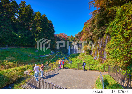 静岡県富士宮市の紅葉の白糸の滝と滝見橋付近の展望台と観光客 静岡県富士宮市の紅葉の白糸の滝と滝見橋付近の展望台と観光客 137687688