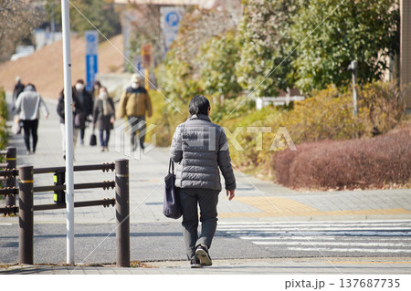 冬の朝の都市の住宅街で歩く通勤中の人々の姿 冬の朝の都市の住宅街で歩く通勤中の人々の姿 137687735