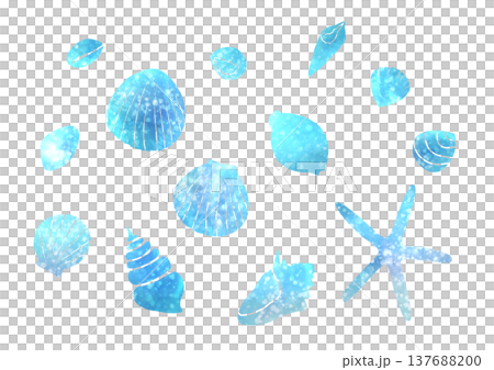 海色の貝殻の水彩イラスト素材 137688200