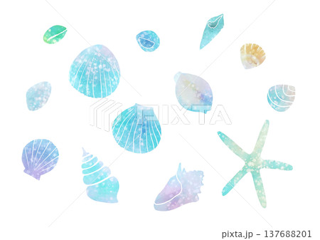 水彩で描いた貝殻のイラスト素材 水彩で描いた貝殻のイラスト素材 137688201