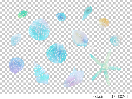 水彩で描いた貝殻のイラスト素材 水彩で描いた貝殻のイラスト素材 137688201