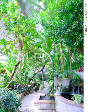 植物園の温室 植物園の温室 137688241