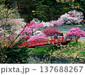 満開のはなももと赤い橋 137688267