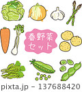 手描き風 春野菜セット 手描き風 春野菜セット 137688420