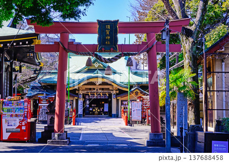 東京都　新宿区　須賀神社　（すがじんじゃ）　大鳥居 137688458