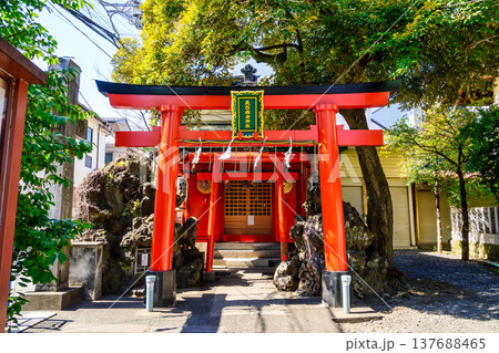 東京都　新宿区　須賀神社　（すがじんじゃ）　天白稲荷社 137688465