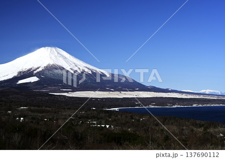 3月、山中湖岸の風景 (撮影地:山中湖岸) 3月、山中湖岸の風景 (撮影地:山中湖岸) 137690112