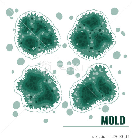 Set of vector illustrations showing green mold and mildew growth. Fungal spores bundle. Set of vector illustrations showing green mold and mildew growth. Fungal spores bundle. 137690136