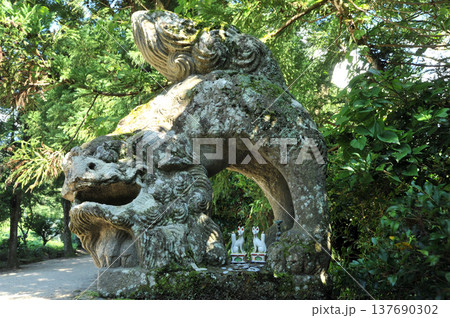 出雲 須佐神社の狛犬 出雲 須佐神社の狛犬 137690302