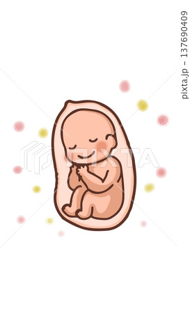 お腹の中の赤ちゃん 137690409