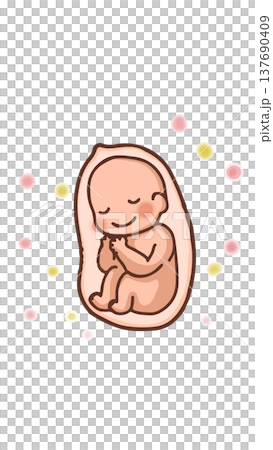 お腹の中の赤ちゃん 137690409