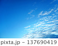 青空と流れる雲のグラデーション（朝の空） 137690419