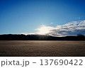 栃木の冬の朝｜霜の広場に差す光 137690422