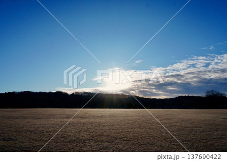 栃木の冬の朝|霜の広場に差す光 栃木の冬の朝|霜の広場に差す光 137690422