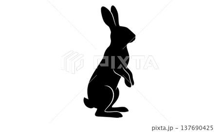 立ち上がるウサギの黒いシルエット 137690425