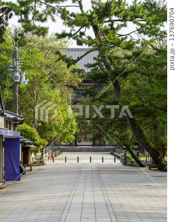 東大寺へと続く参道の風景 東大寺へと続く参道の風景 137690704