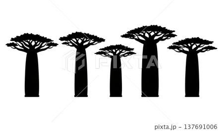Set of Six Black Solid African Baobab Tree Silhouettes Set of Six Black Solid African Baobab Tree Silhouettes 137691006