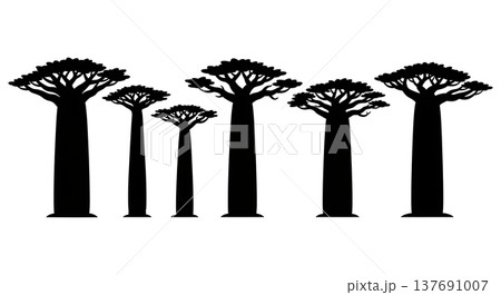 Set of Six Black Solid African Baobab Tree Silhouettes 137691007