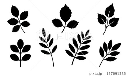 Black Solid Botanical Stem Silhouettes Set of Six on White Background 137691386