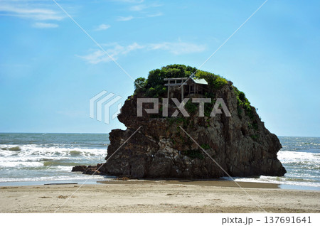 出雲　稲佐の花 137691641