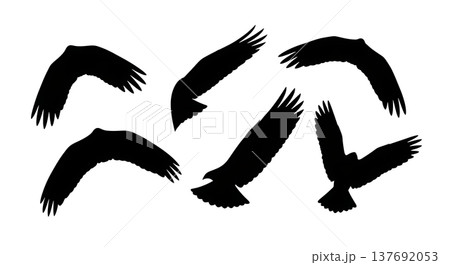 Black Solid Abstract Wing Silhouettes Set of Six on White Background 137692053