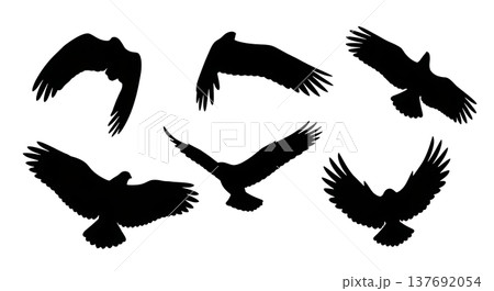 Black Solid Abstract Wing Silhouettes Set of Six on White Background Black Solid Abstract Wing Silhouettes Set of Six on White Background 137692054