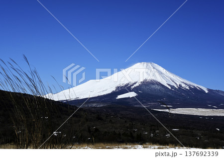 3月、山中湖明神山の風景 (撮影地：山中湖明神山パノラマ台付近) 137692339
