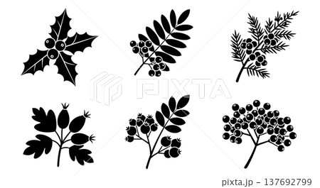 Black Solid Autumn Berry and Branch Silhouette Assortment 137692799