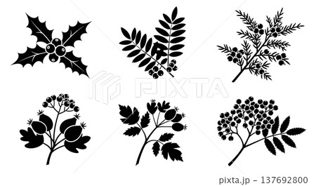 Black Solid Autumn Berry and Branch Silhouette Assortment 137692800