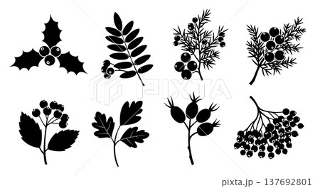 Black Solid Autumn Berry and Branch Silhouette Assortment 137692801