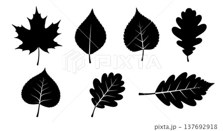 Assortment of Six Black Solid Autumn Leaf Silhouettes 137692918