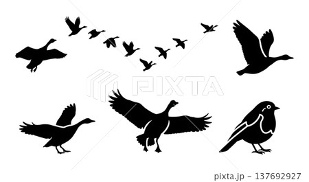 Black Solid Autumn Migratory Bird Silhouettes Set of Six 137692927