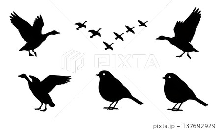 Black Solid Autumn Migratory Bird Silhouettes Set of Six 137692929