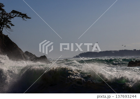 大荒れの碁石海岸 137693244
