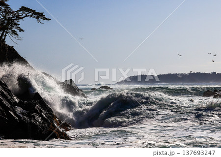 大荒れの碁石海岸 137693247