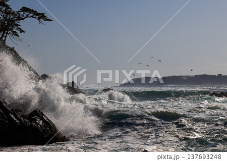 大荒れの碁石海岸 137693248