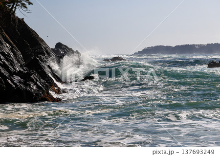 大荒れの碁石海岸 137693249