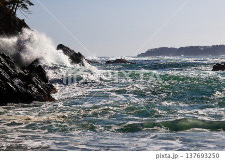 大荒れの碁石海岸 137693250
