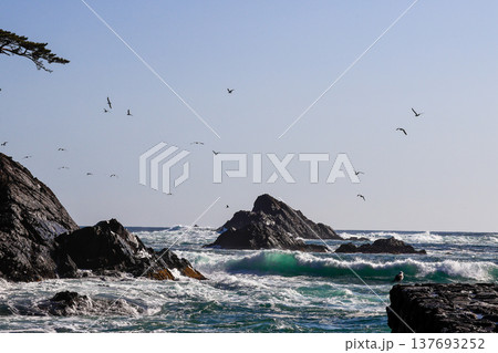 大荒れの碁石海岸 137693252