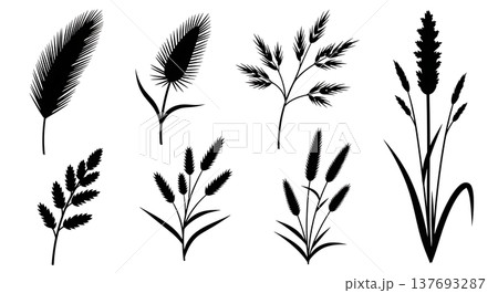 Black Solid Wild Autumn Grass and Seed Head Botanical Silhouettes 137693287