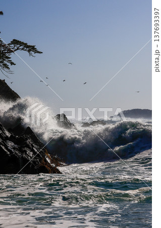 大荒れの碁石海岸 大荒れの碁石海岸 137693397