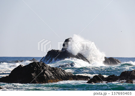 大荒れの碁石海岸 137693403