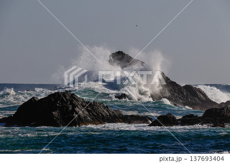 大荒れの碁石海岸 大荒れの碁石海岸 137693404